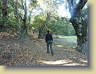 Hike-Redwood-City-Dec2011 (11) * 3648 x 2736 * (6.66MB)